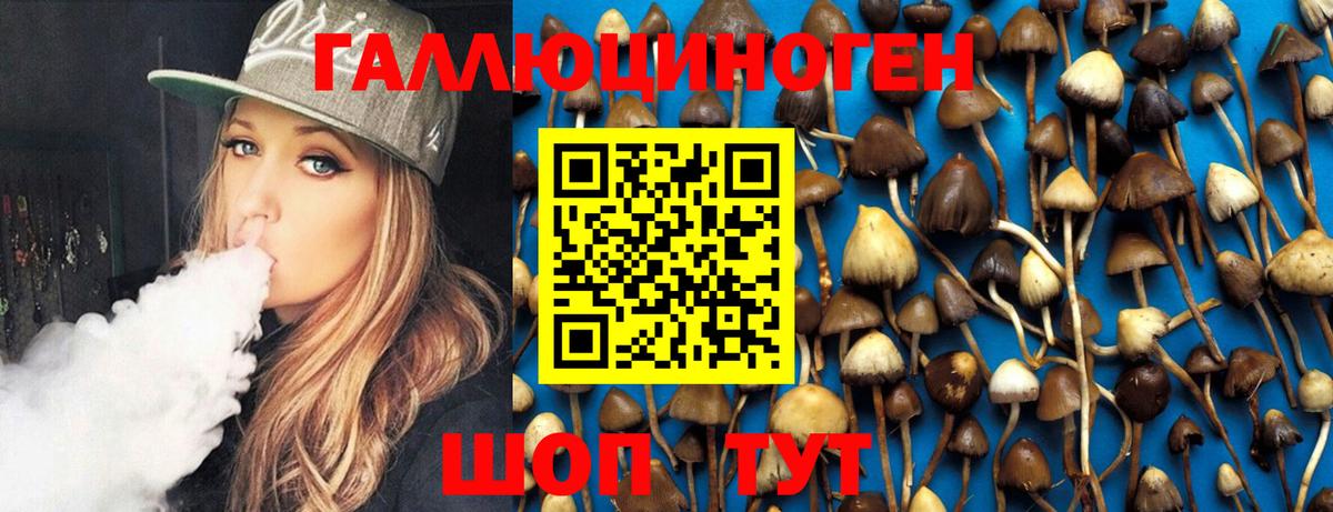 Псилоцибиновые грибы GOLDEN TEACHER Ставрополь