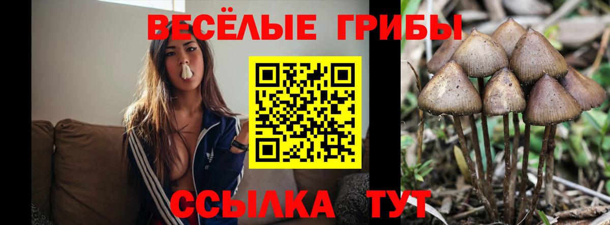 Ставрополь  Галлюциногенные грибы мицелий  Вход с VPN 